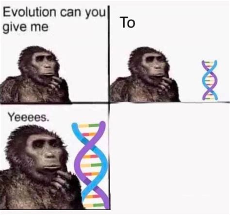 Evolution Can You Give Me A Meme Generator Piñata Farms The Best