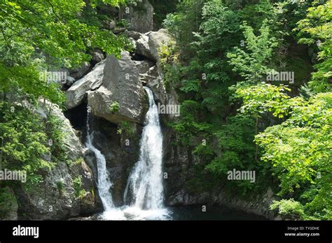 Bash Bish Falls The Tallest Waterfall In Massachusetts Its Located