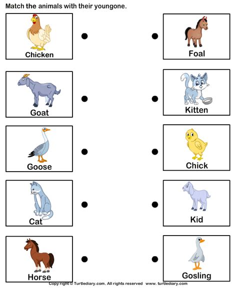 Match Farm Animals To Their Babies Worksheet 2 Turtle Diary