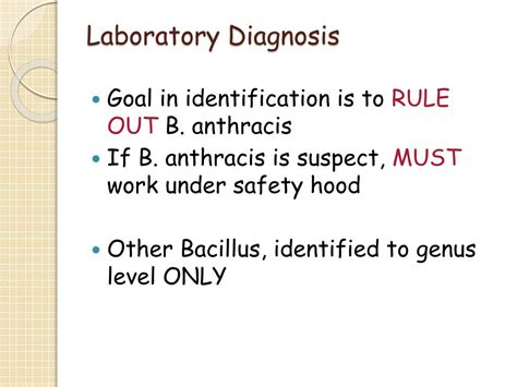 Ppt Gram Positive Bacilli Part One Powerpoint Presentation Free Download Id6390724