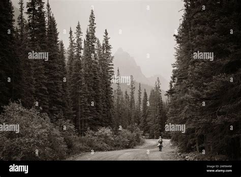 Hiker In Wild In Banff National Park With Mountains And Forest In