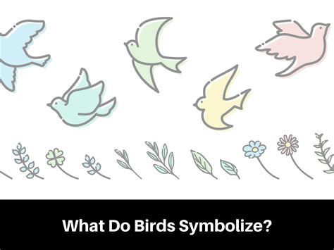 10 Bird Symbolism Meanings