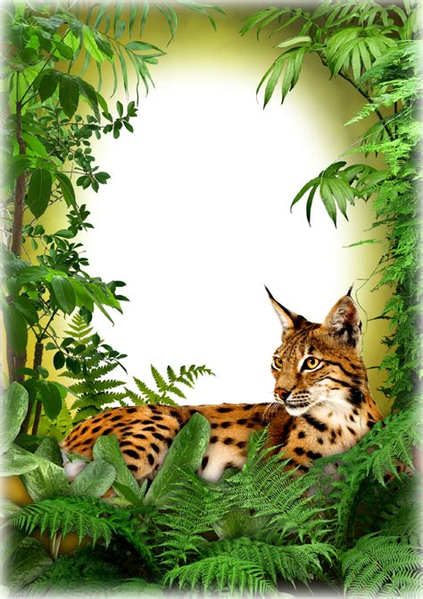 Pin on Frames