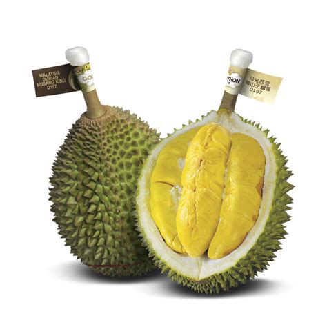 Check spelling or type a new query. Top Fruits Sdn Bhd