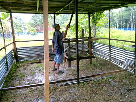 Kandang peternak ayam kampung petelur salah satu kenalan, saya diberikan kesempatan untuk melihat dan pelihara an ayam kampung petelur nya. TERNAKAN AYAM KAMPUNG ORGANIK: PROSES BINA REBAN 500 EKOR