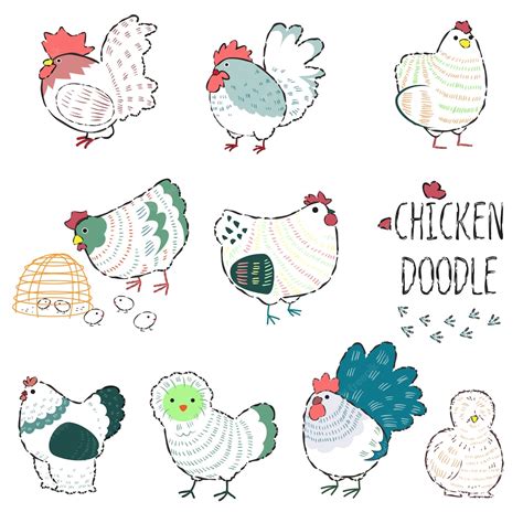 Premium Vector Chicken In Farm Line Doodle