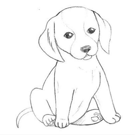 Малюнки для срисовки милі собачки фото ТЕГ