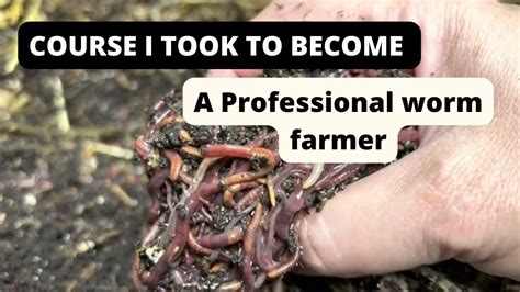 How To Become A Professional Worm Farmer The Course I Took Taught By A