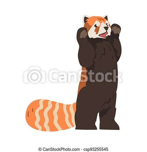 Cute Red Panda Standing With Front Paws Raised Adorable Wild Animal