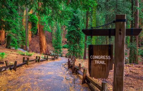 Best Of Sequoia And Kings Canyon 3 Day Itinerary Moon Travel Guides
