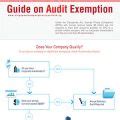 A Simple Guide On Audit Exemption In Singapore Infographics
