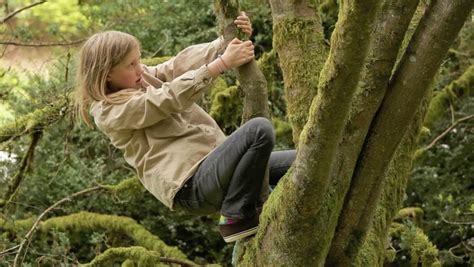 Young Girl Climbing A Tree Stock Footage Video 2240272 Shutterstock