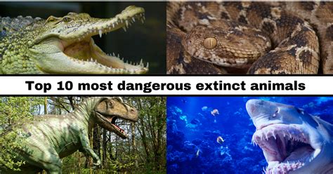 Top 10 Most Dangerous Extinct Animals