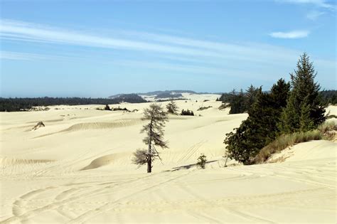 Check spelling or type a new query. THE ADVENTURES OF TEAM DANGER: Riding the Oregon Dunes