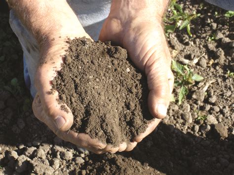 Soil Health Nashs Farm Shares