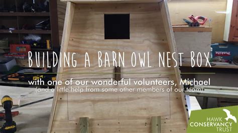 Since barn owls are sensitive to disturbance, it's best to place boxes in quiet locations. Building a Barn Owl Nest Box - YouTube