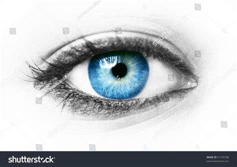 363696 Model Beauty Blue Eye Images Stock Photos And Vectors Shutterstock