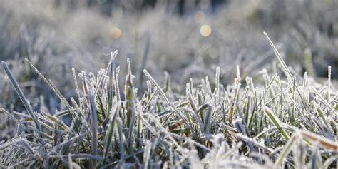 Forecasting Frost Met Office