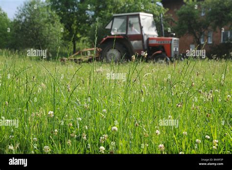 Haymaking On Countryside Poland Polish Ursus 3512 Tractor With Rotary