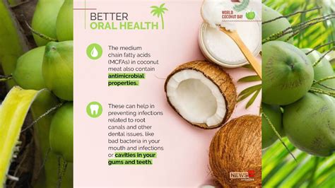 World Coconut Day A Look At Some Benefits Of Coconuts