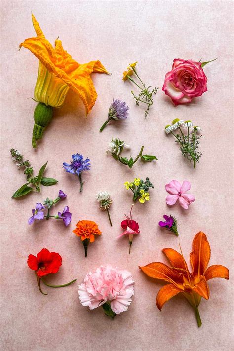 How To Use Edible Flowers This Healthy Table