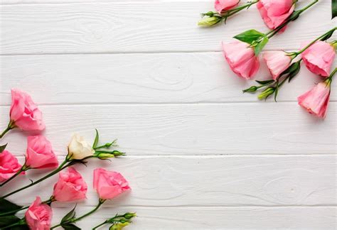 gambar-background-bunga-cantik-HD_14 | Jasa Desain Grafis Online Terbaik