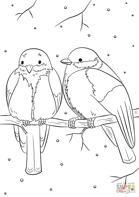 Desenho De Pássaros No Inverno Para Colorir Desenhos Para Colorir E