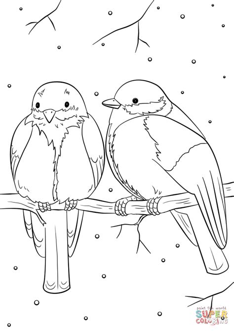 Explore our vast collection of coloring pages. Winter Birds coloring page | Free Printable Coloring Pages