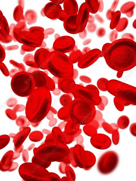 Red Blood Cells Illustration Stock Image F0224188 Science Photo