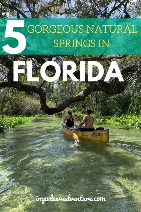 Homosassa springs wildlife state park, three sisters springs. The 5 BEST Natural Springs Near Orlando ...