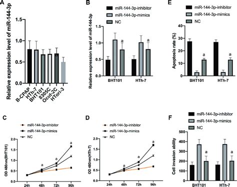 expression of mir 144 3p in cells and its effect on cell biological download scientific diagram