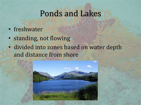 Ppt 344 Aquatic Ecosystems Powerpoint Presentation Free Download