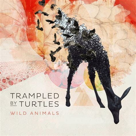 Trampled By Turtles Wild Animals Cd Leeways Home Grown Music Network