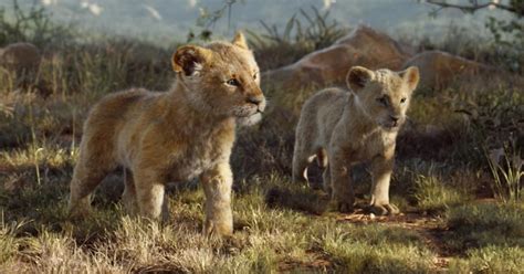 Get To Know The Actors Behind Young Simba And Nala In Disneys Live