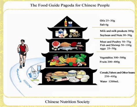 Food Guidelines Around The World The Health Teacher