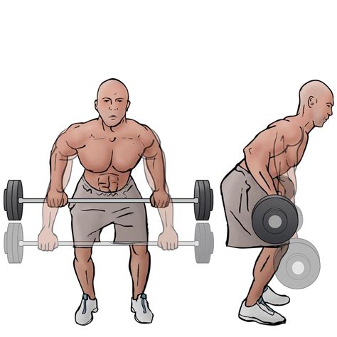 How To Perform Barbell Bent Over Row Focused On Fit