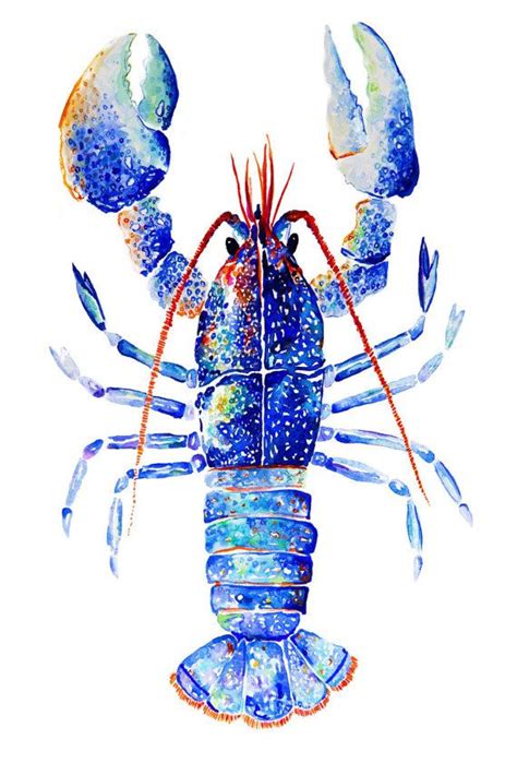 Lobster Watercolor Print Lobster Art Print Blue Lobster Etsy