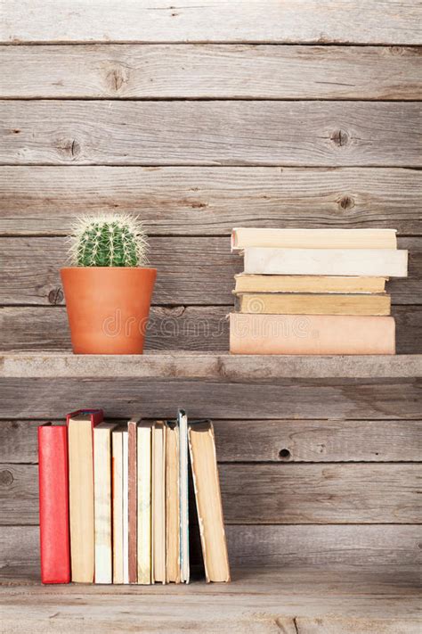 Old Books Wooden Shelf Cactus Stock Photos Free And Royalty Free Stock