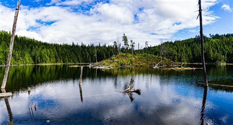 Hiking Hoover Lake In Mission Best Hikes Bc