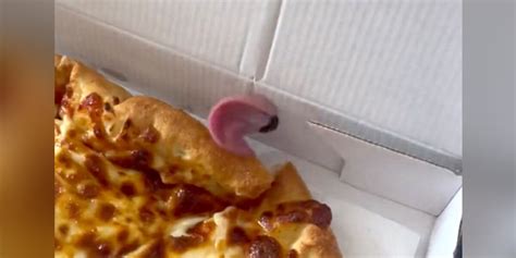 Couple Opens Box Of Pizza And Finds Something Pink Moving Inside Of It