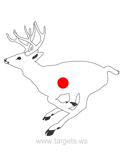 Murdochs Shooting Made Easy Vital Point Deer Target Champion X Ray