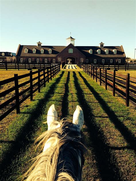 Beutiful Pics Of Barns And Horses 20 Luxurious Stables That Youll