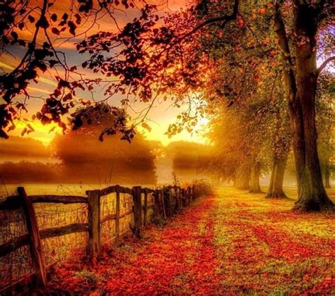 17 Best Images About Fall Scenery On Pinterest Autumn