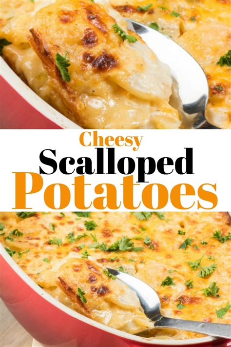 If you wish to serve it as a casserole dish, then bake it in the oven. Cheesy Scalloped Potatoes make the best comforting side ...