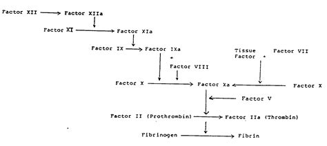 Metabolic pathways conserve vitamin k. EP0391974B1 - Process for the purification of vitamin k ...