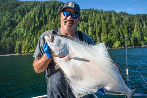 Halibut Sport Fisheries Were A Success This Past Spring And Summer And
