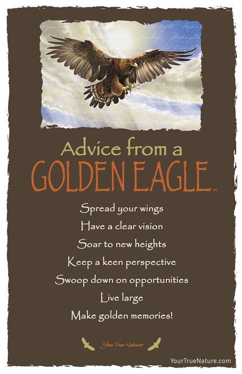 Advice From A Golden Eagle Postcard Your True Nature Spirit Animal