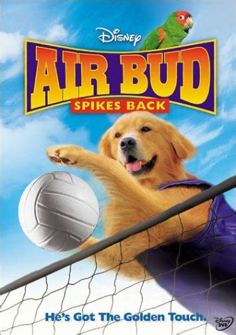 The franchise began in 1997 with the theatrical release of air bud. Air Bud Complete DVD Boxset