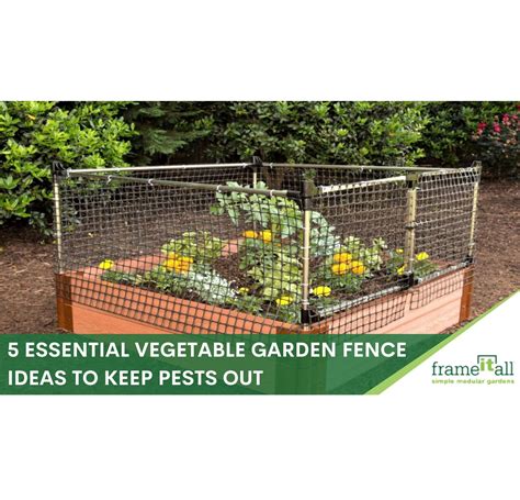 5 Vegetable Backyard Garden Fence Ideas Frame It All