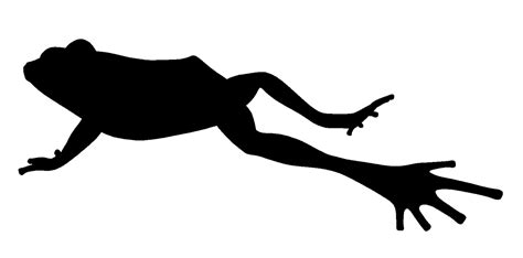 Silhouette Of Jumping Frog Silhouette Art Frog Frog Drawing